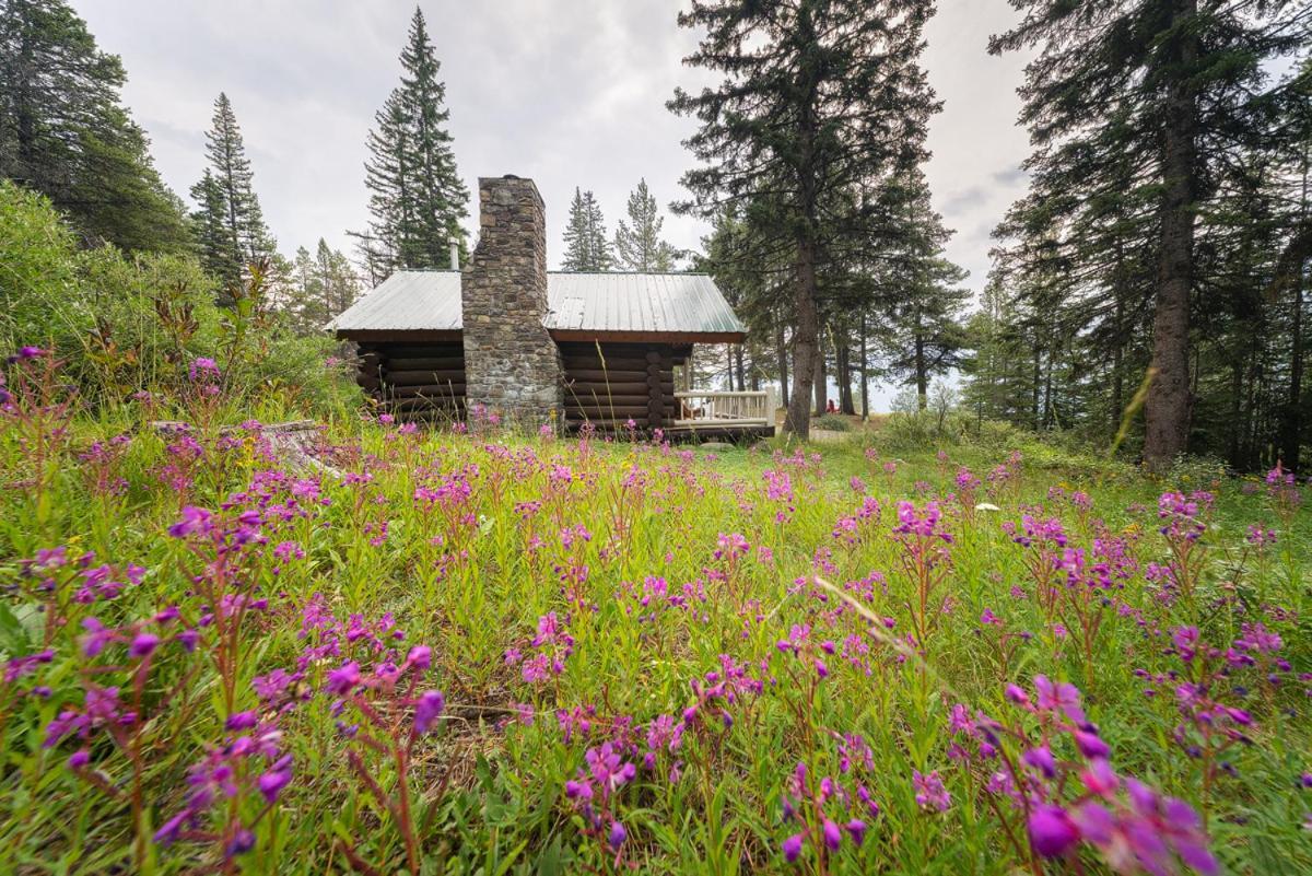 Storm Mountain Lodge & Cabins Castle Junction Bagian luar foto