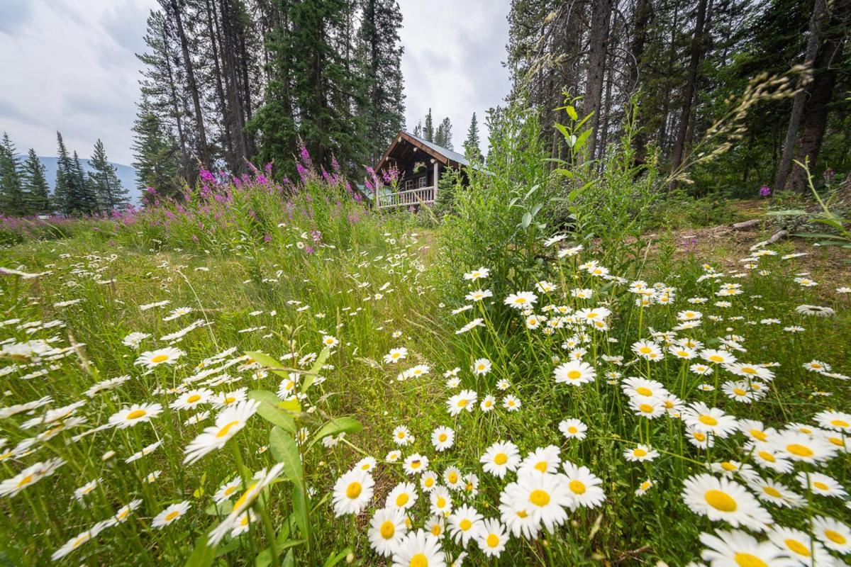 Storm Mountain Lodge & Cabins Castle Junction Bagian luar foto