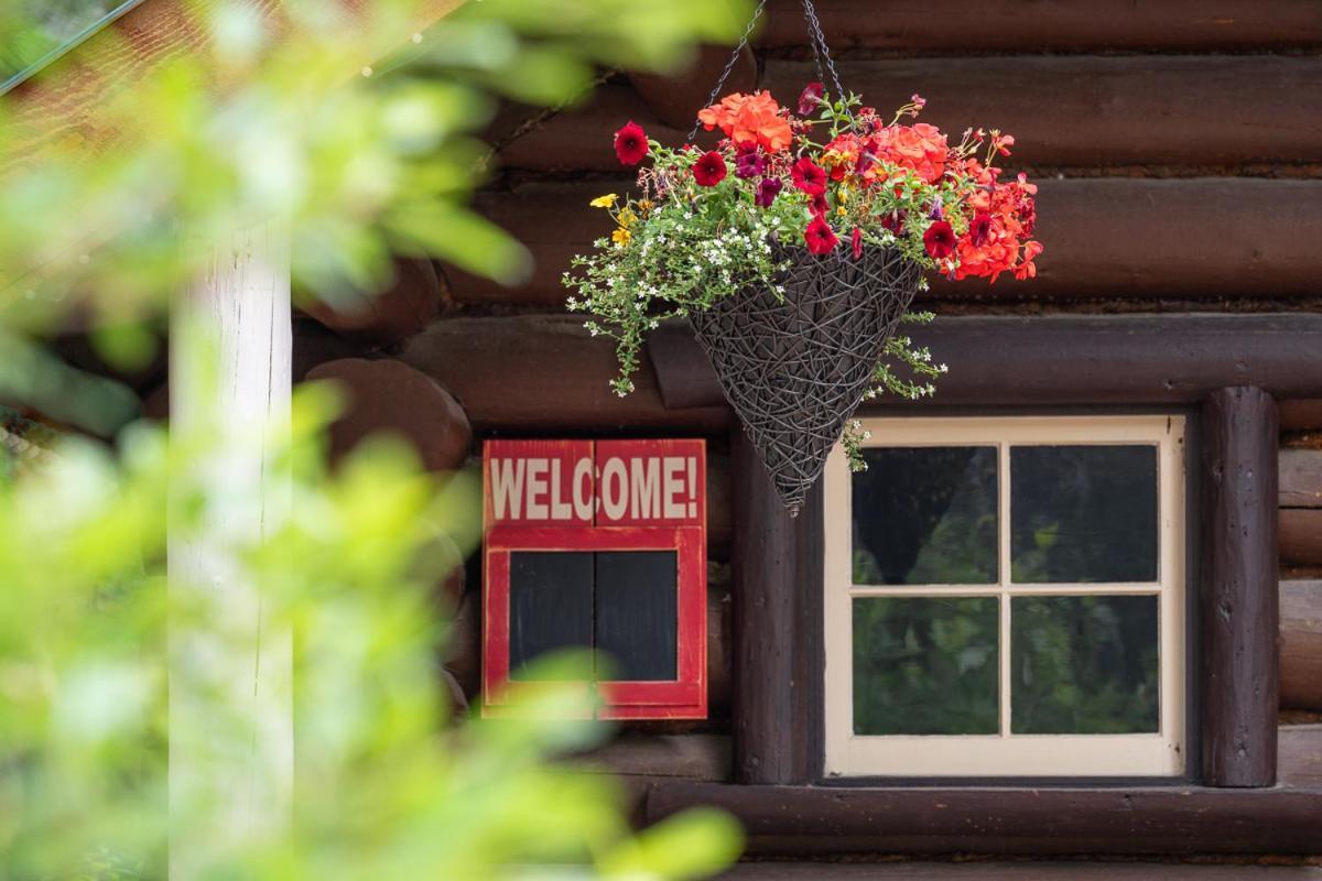 Storm Mountain Lodge & Cabins Castle Junction Bagian luar foto