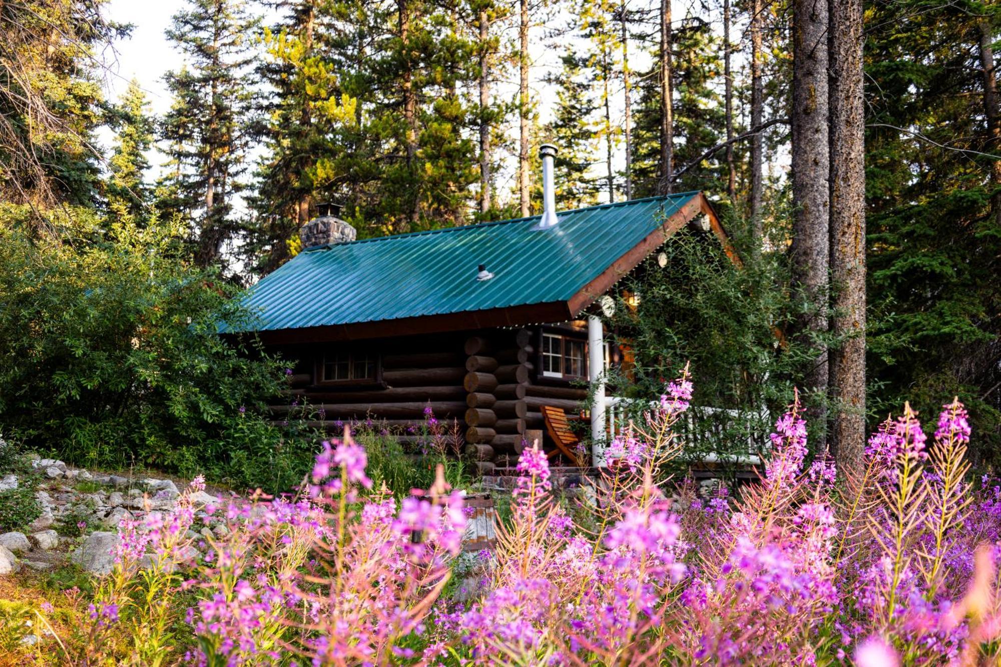 Storm Mountain Lodge & Cabins Castle Junction Bagian luar foto