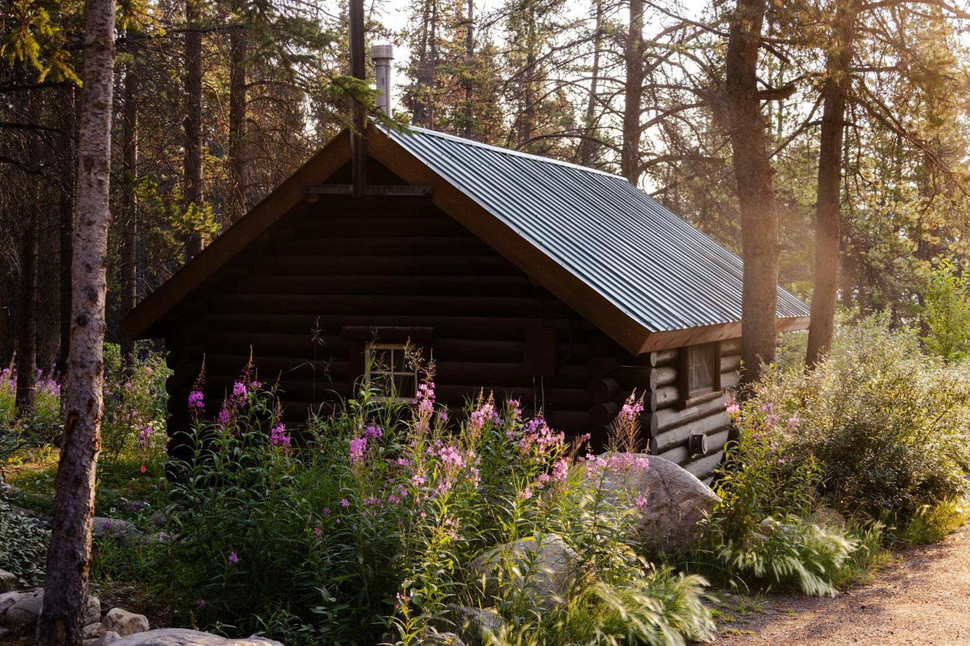 Storm Mountain Lodge & Cabins Castle Junction Bagian luar foto